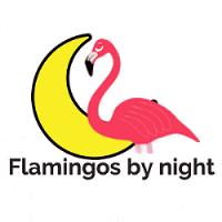 Flamingos by night image 1